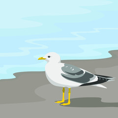 Vector illustration of cartoon seagull.  Sea, ocean, beach, coast,