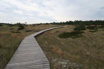Holzweg durch Dünen