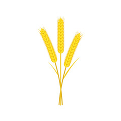 Ears of wheat icon. Vector illustration.