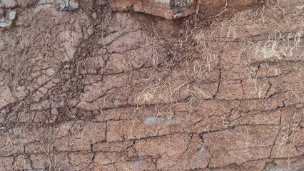 Texture of cracks in soil sediment on the side of a hill left over from dredging in the Cikancung...