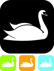 Beautiful white swan illustration. Vector icon isolated