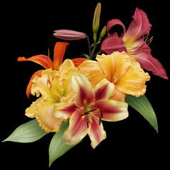 Bright lily isolated on black background. Floral arrangement, bouquet of yellow, red flowers. Can...