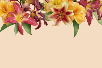 Floral banner, header with copy space. Bright yellow and red lily isolated on light background. Natural flowers wallpaper or greeting card.
