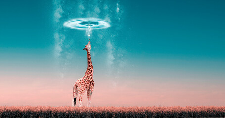 Photomontage, a giraffe under a circle of water and rain, in pastel colors