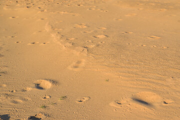 Fototapeta na wymiar riverside sand,desert with footprints