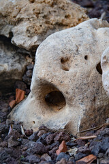 Roca co forma de cráneo
