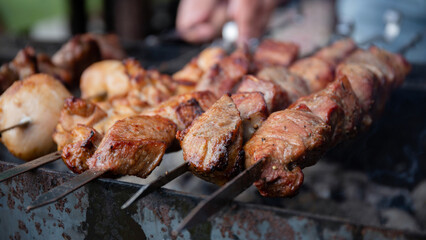 BBQ picnic with kebabs and meat on an open fire on a summer day in the backyard of a private house.