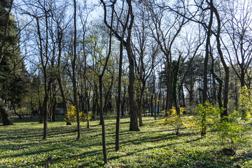 Spring landscape, Herastrau Park, Bucharest City, Romania 