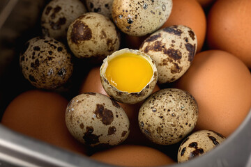 Close-up of chicken and quail eggs. Healthy food