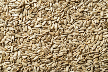 Shelled sunflower seeds macro background. Texture of Helianthus kernels without shell. Organic sunflower seeds for gluten free healthy eating. Raw material for the production of vegetable oil.