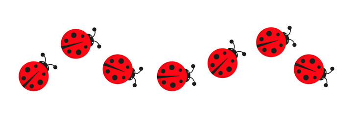 Ladybugs line icon group. Cute ladybirds set. Vector illustration isolated on white.