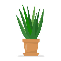 Aloe Vera plant in flower pot. Small Decorative indoor house plant. Flat or cartoon icon vector illustration for home or office decor isolated on white background.