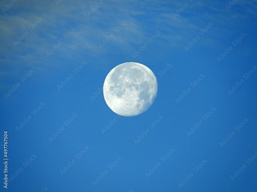 Wall mural full moon in the sky with clouds