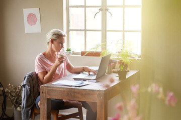 Shes a passionate and driven freelancer. Shot of a female designer working on her laptop at home.