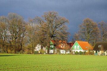 Fototapeta na wymiar Blicke in den einzigartigen Spreewald nahe Burg in Brandenburg