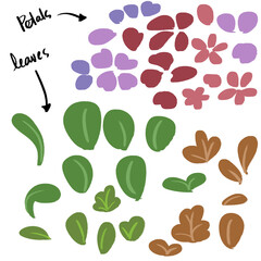 Petals and Leaves