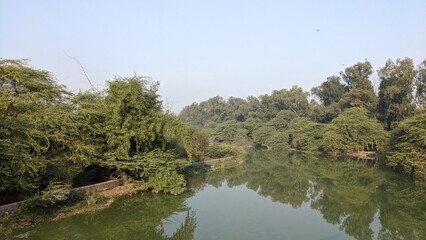 Fototapeta na wymiar Sanjay Lake view with reflection of dense trees on either side in Delhi in India