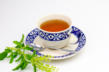 Tulsi or holy basil tea in white cup with fresh tulsi branch isolated on white background. Ayurvedic medicine in India.