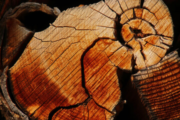 Holzstruktur