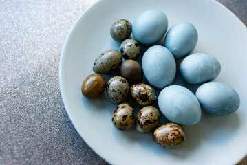 Dyed Easter eggs on light blue plate