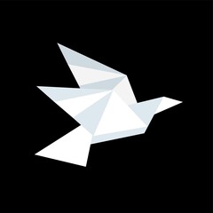 white dove on black background