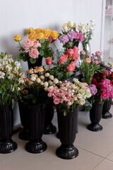 Flower shop. Lots of flowers in vases. Roses, ranunculus, tulip, alstroemeria