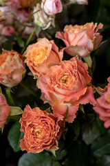 flower shop. Lots of flowers in vases. Rose peony country spirit Louise