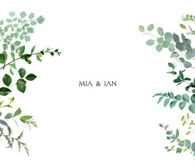 Herbal horizontal vector frame. Hand painted plants, branches, leaves on a white background