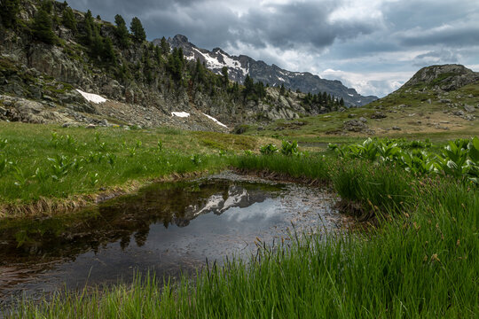 Paysage de la chaîne de Belledonne au printemps , Pointes de Jasse Bralard , Alpes , Isère , France © jeanmichel deborde