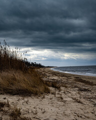 storm over the beach dunes and brush