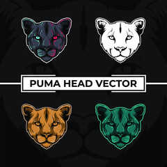 Puma head close up vector collection