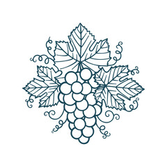 Grape bunch vintage style vector illustration. Grape and vine hand drawing. Part of set.