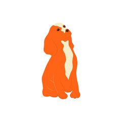 Dog collection. Vector description of different breeds of dogs in a fashionable straight style. Isolated on white