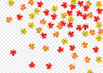 Yellow Foliage Background Transparent Vector. Plant Realistic Design. Brown September Floral. Forest Leaves Frame.