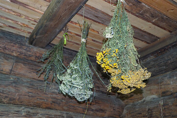 dried medicinal herbs suspended