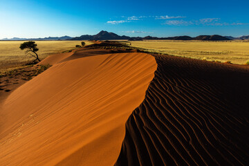 Fototapeta na wymiar Wind swept patterns on red sand dune