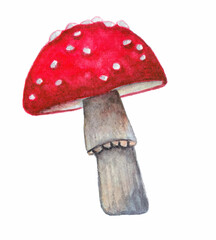 Watercolor illustration of agaric.