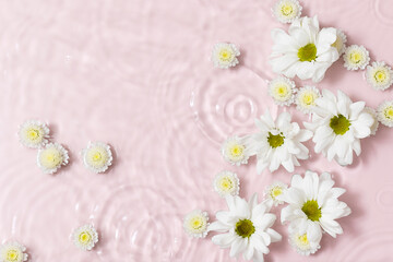 Water background. Pink aqua texture, surface of ripples, transparent, flower, shadows and sunlight. Spa and cosmetic concept background. Flat lay, top view, copy space, banner