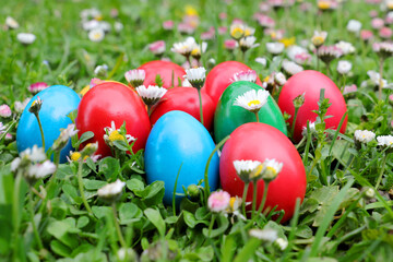Fototapeta na wymiar Close up of colored easter egg placed on green grass and colorful spring flowers. Colored eggs is an old Easter tradition that was developed on Romanian soil with great craftsmanship.