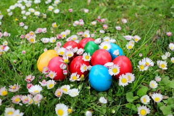 Fototapeta na wymiar Close up of colored easter egg placed on green grass and colorful spring flowers. Colored eggs is an old Easter tradition that was developed on Romanian soil with great craftsmanship.