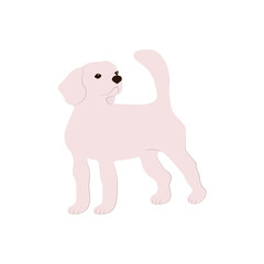 Dog collection. Vector description of different breeds of dogs in a fashionable straight style. Isolated on white