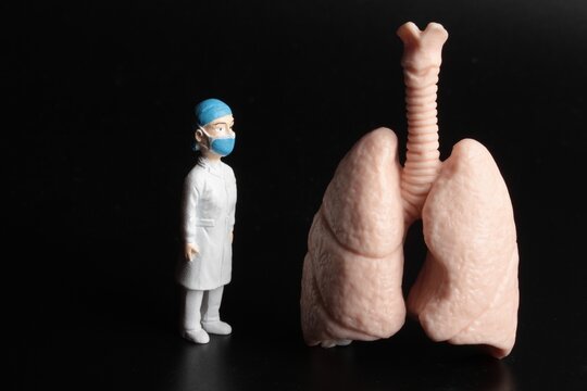 miniature figurine of a pneumologist with a giant pair of lungs on a black background