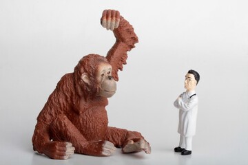 miniature figurine of a veterinarian with an orangutan monkey