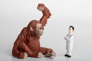 miniature figurine of a veterinarian with an orangutan monkey © marco