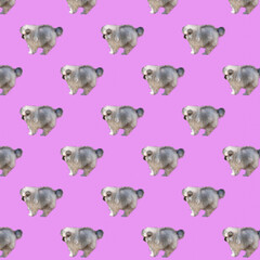 Pattern small Pomeranian puppy side view on a bright pink background
