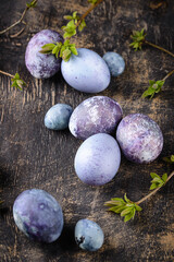 Festive Easter eggs in purple and blue color