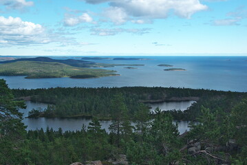 Hiking trail in Skuleskogen National Park, Sweden, near Tärnättvattnen lake on sunny summer day

