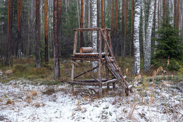 Hunter stand on the edge of the forest, Spring season.
