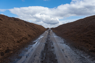 Peat Latvian gold. Peat bogs. Road in the swamp