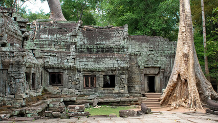 Ta Prohm, Siem Riep, Cambodia